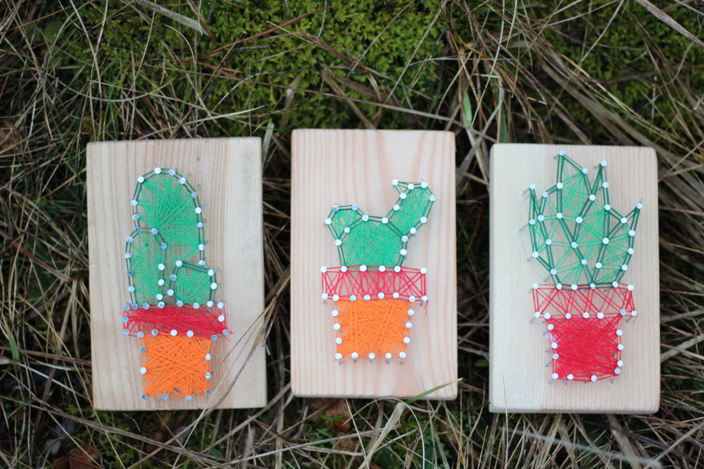 Obrazy String Art – Kaktusy