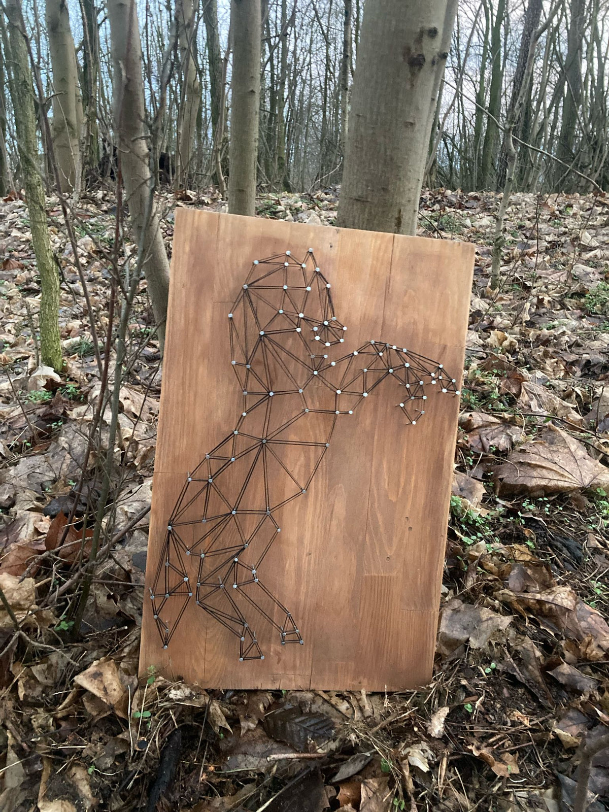 Koń - Obraz String Art