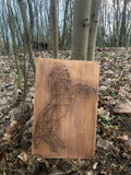 Koń - Obraz String Art